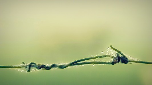 jplenio A7207117 big 2