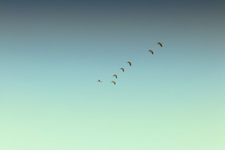 jplenio SDIM3622 big